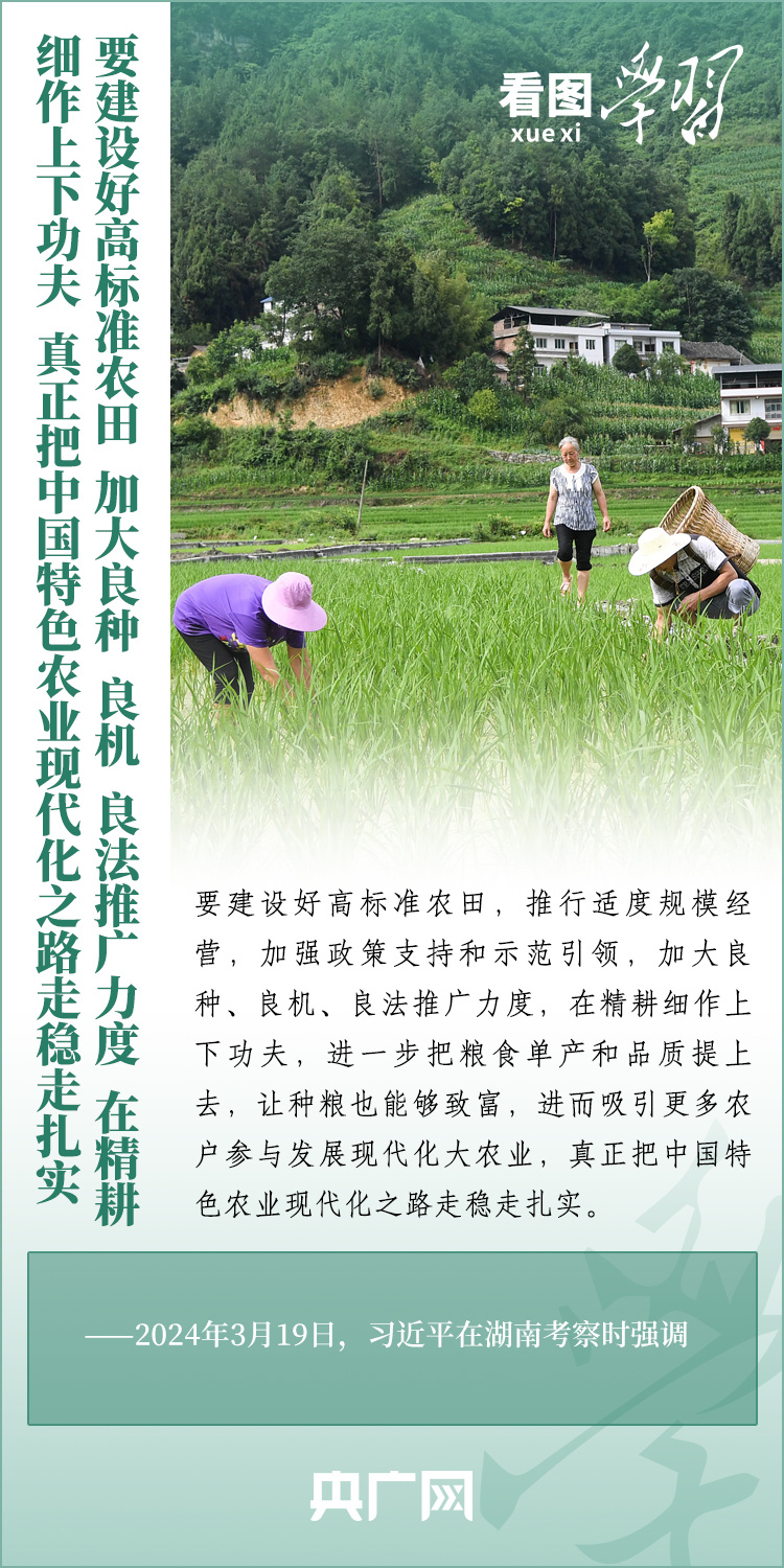 看圖學習丨推廣良田、良種、良法、良機 給農(nóng)業(yè)現(xiàn)代化插上科技的翅膀
