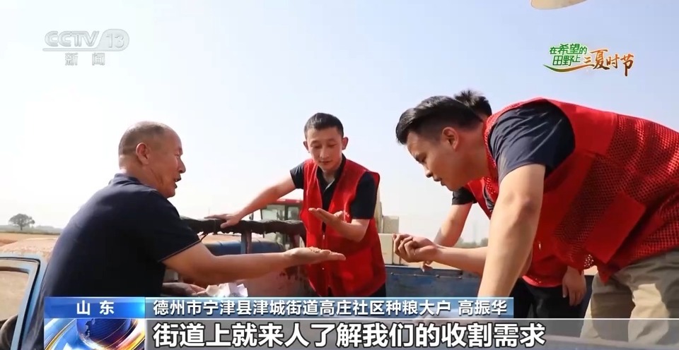 “三夏”生產(chǎn)思維導圖安排上了！還有政府大院等你來“曬”