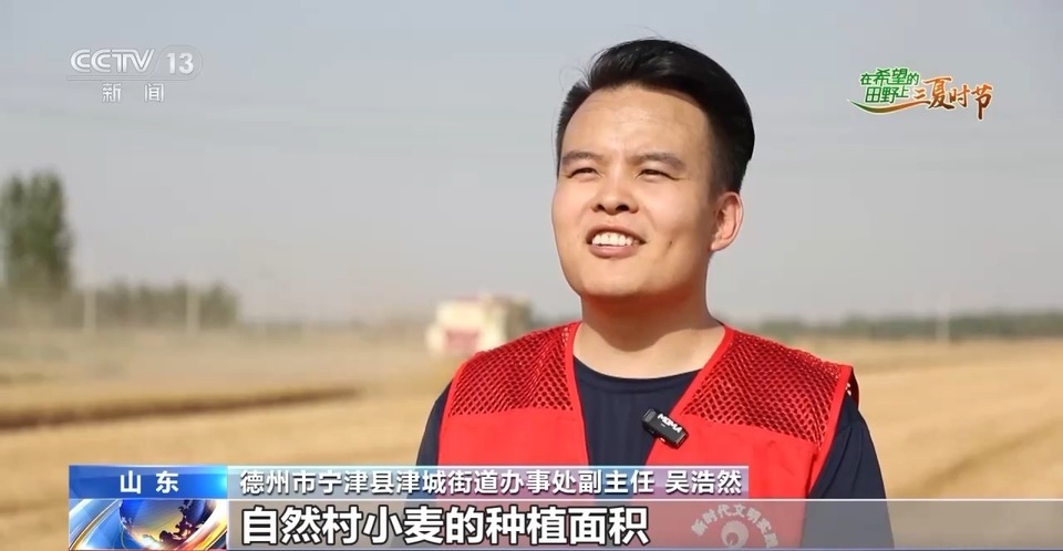 “三夏”生產(chǎn)思維導圖安排上了！還有政府大院等你來“曬”