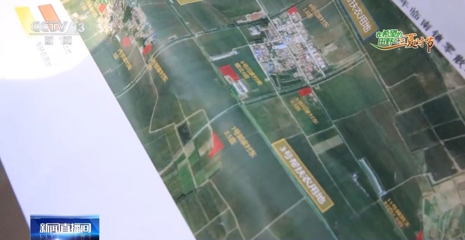 “三夏”生產(chǎn)思維導圖安排上了！還有政府大院等你來“曬”