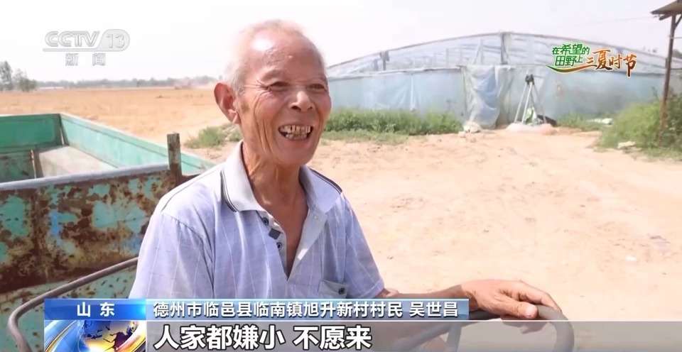 “三夏”生產(chǎn)思維導圖安排上了！還有政府大院等你來“曬”