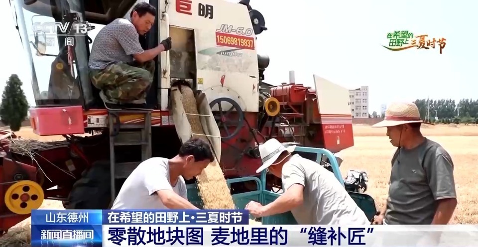 “三夏”生產(chǎn)思維導圖安排上了！還有政府大院等你來“曬”