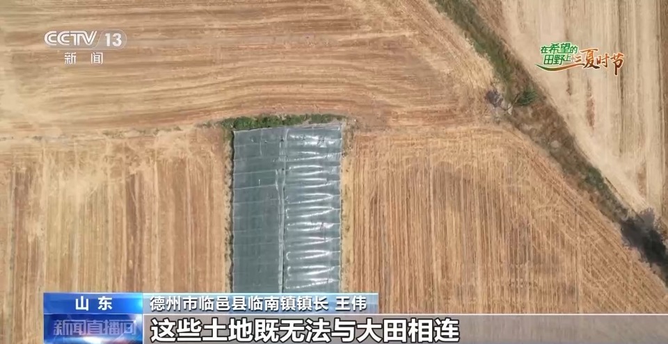 “三夏”生產(chǎn)思維導圖安排上了！還有政府大院等你來“曬”