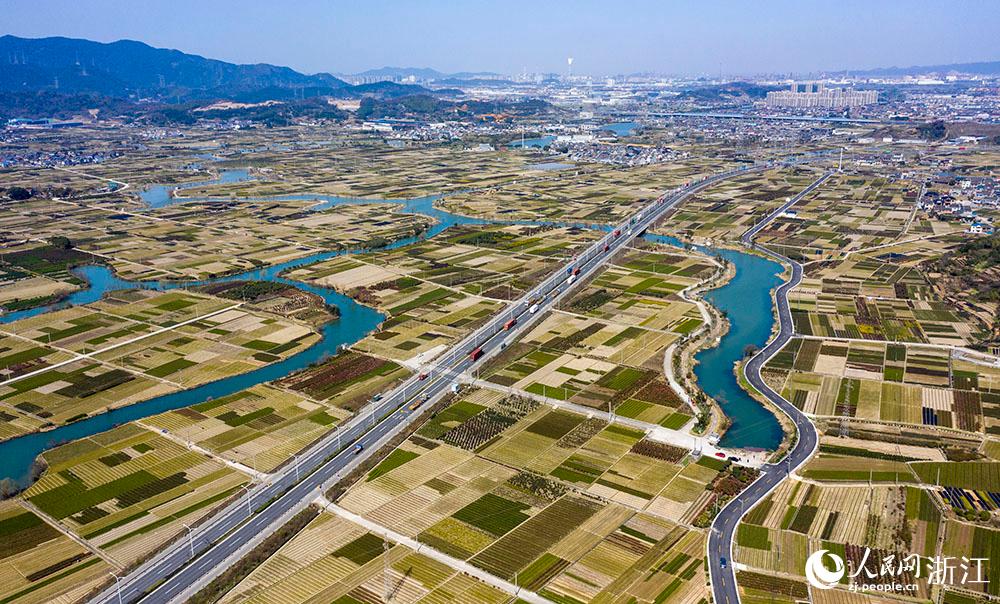 寧波市北侖區(qū)柴橋街道的萬畝花田猶如打翻的調(diào)色盤。人民網(wǎng) 章勇濤攝