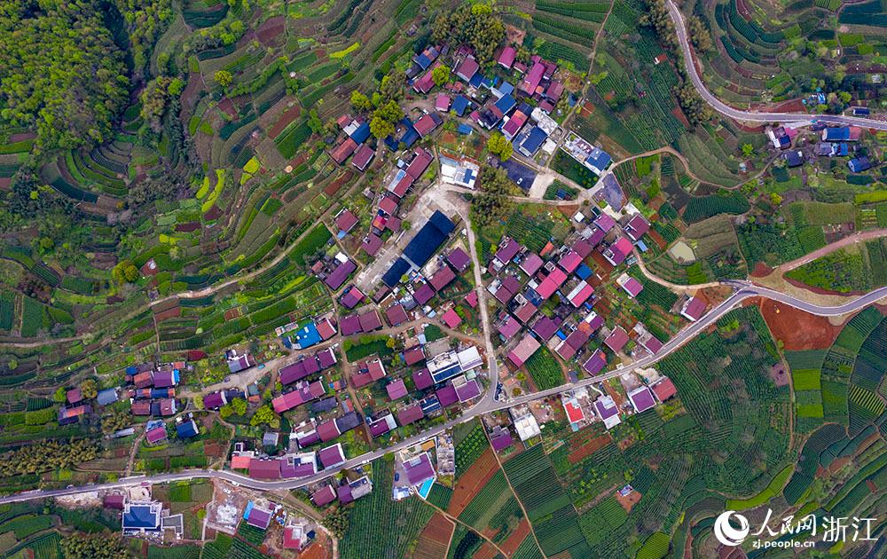 4月1日，紹興市新昌縣東茗鄉(xiāng)下巖貝村風(fēng)光秀麗，茶園旖旎。人民網(wǎng) 章勇濤攝