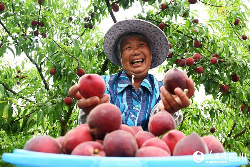 豐收的喜悅。蘭自濤攝