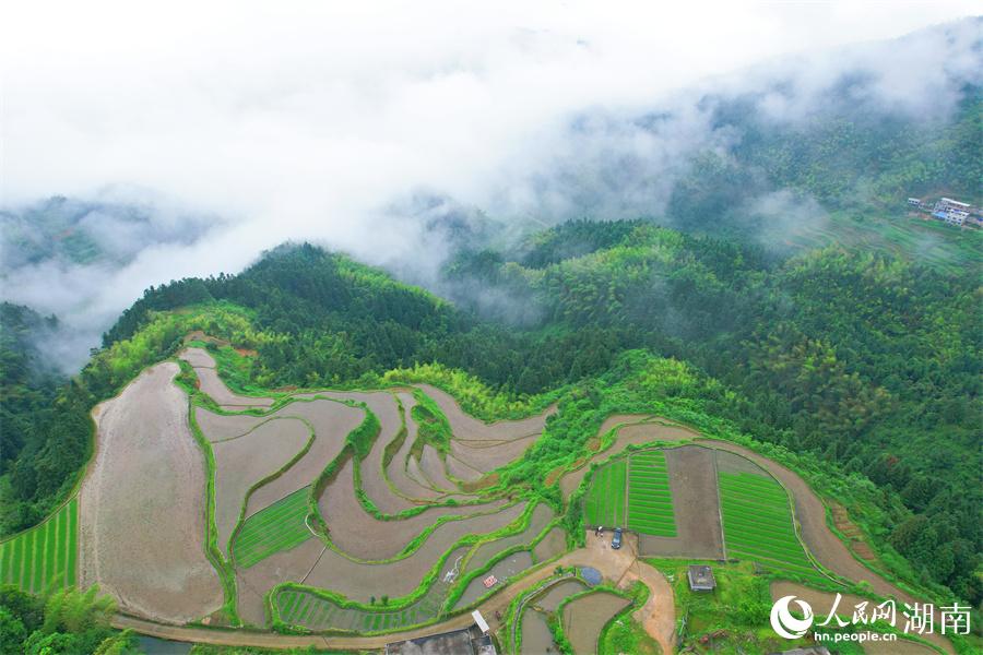 云中梯田美如畫。人民網(wǎng) 李芳森攝