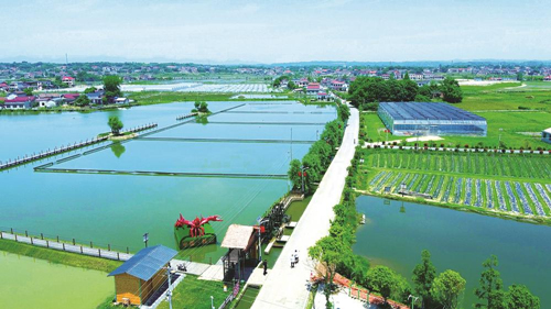 近年來，大成橋鎮(zhèn)堅(jiān)持加強(qiáng)黨對鄉(xiāng)村治理的集中統(tǒng)一領(lǐng)導(dǎo)，該鎮(zhèn)鄉(xiāng)村治理模式入選第二批全國鄉(xiāng)村治理典型案例。圖為美麗的大成橋鎮(zhèn)。（資料圖片）