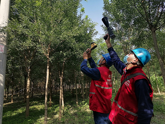 工作人員進行紅外測溫及超聲波局部放電檢測。 王亮攝