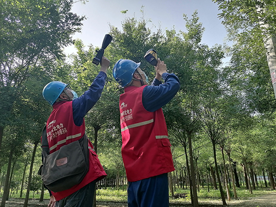 工作人員進行紅外測溫及超聲波局部放電檢測。 王亮攝