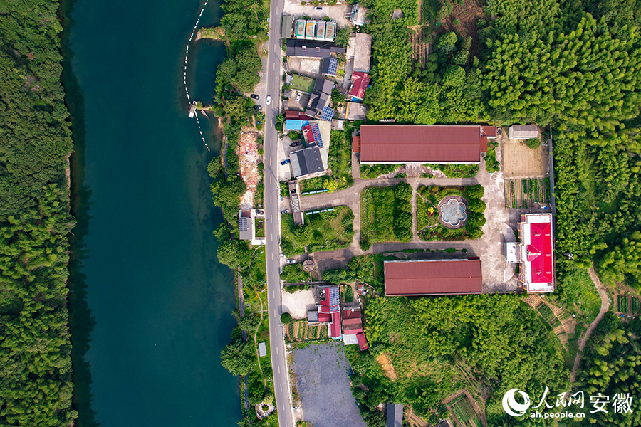 儲(chǔ)家灘民宿區(qū)。人民網(wǎng)記者 苗子健攝