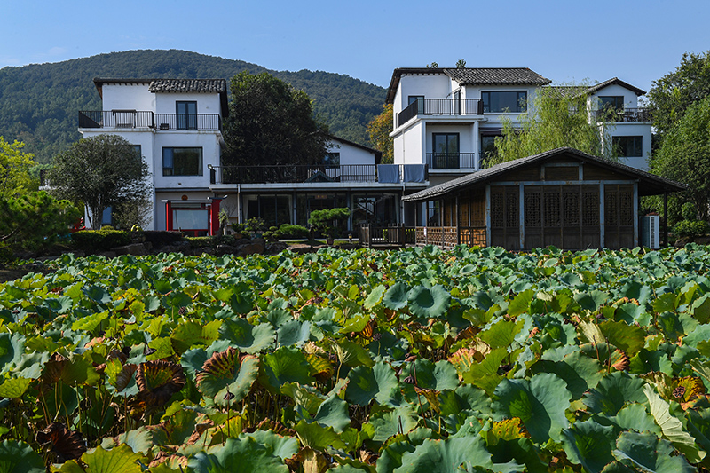 雨悅山房負(fù)責(zé)人原來在馬達(dá)加斯加打理酒店，之所以“從馬達(dá)加斯加到肥東”，源于對(duì)家鄉(xiāng)民宿前景看好。吳芳攝