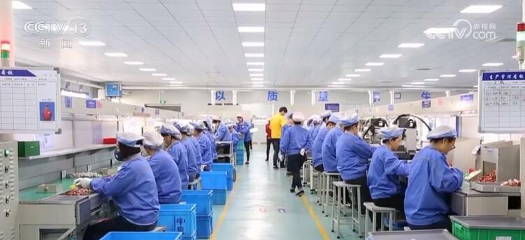 開(kāi)年拼經(jīng)濟(jì)號(hào)角吹響 多領(lǐng)域釋放穩(wěn)開(kāi)局積極信號(hào)