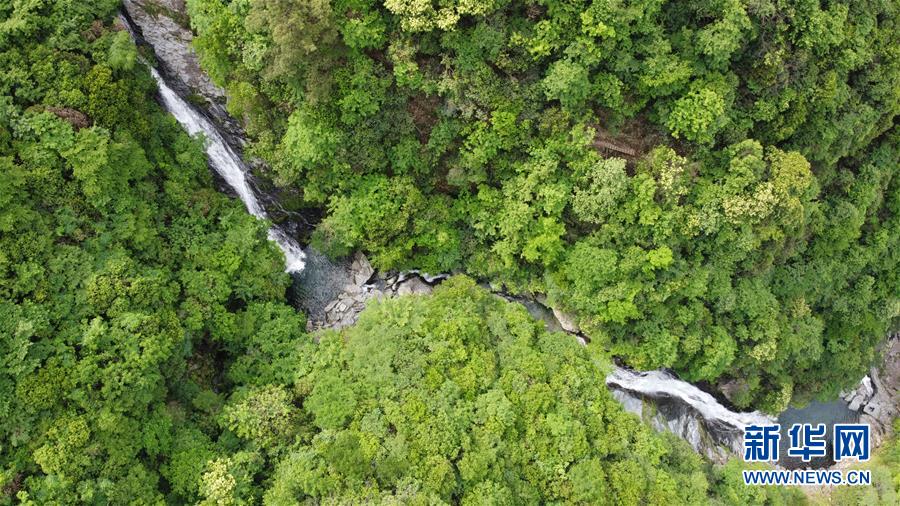 (在習(xí)近平新時代中國特色社會主義思想指引下——新時代新作為新篇章·習(xí)近平總書記關(guān)切事·圖文互動)(6)長三角的新答卷——“十三五”收官之年的長三角一體化新故事