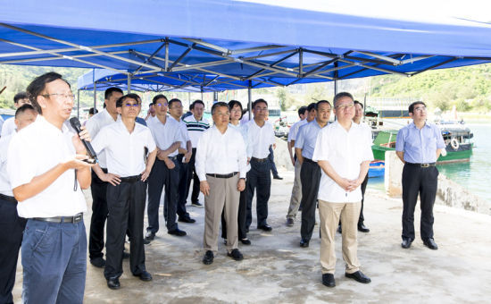 2019年6月21日上午，省長沈曉明率省政府班子成員在三亞鐵爐港調(diào)研項目規(guī)劃建設情況。海南日報記者 宋國強 攝