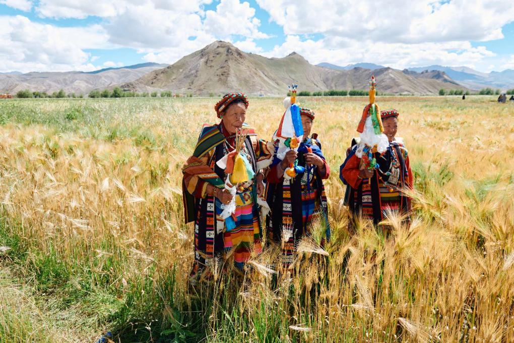 滬藏攜手構建江孜氆氌全產(chǎn)業(yè)鏈體系：“指尖技藝”跨入發(fā)展“新賽道”