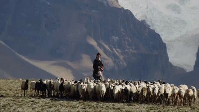 你看了嗎？藏語(yǔ)版《日光之城》“含金量”還在上升！