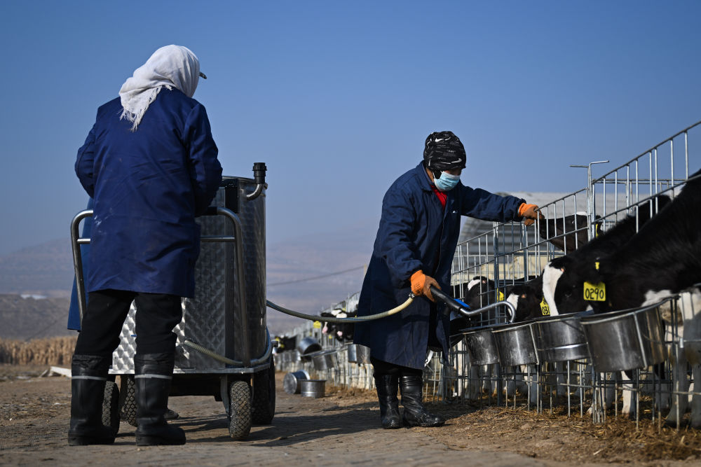 牢牢守住不發(fā)生規(guī)模性返貧致貧底線——西部脫貧地區(qū)“5年過(guò)渡期”一線觀察