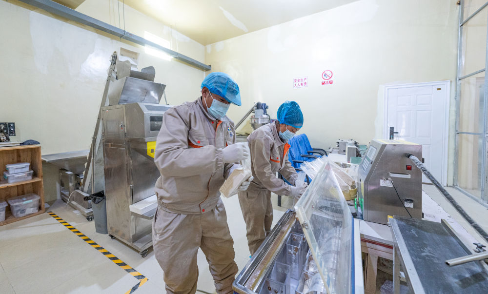 牢牢守住不發(fā)生規(guī)模性返貧致貧底線——西部脫貧地區(qū)“5年過(guò)渡期”一線觀察