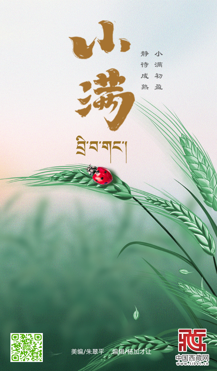 小滿(mǎn).jpg
