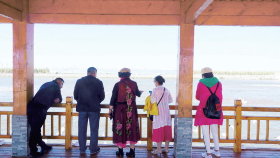 湟魚洄游奇觀吸引游人。