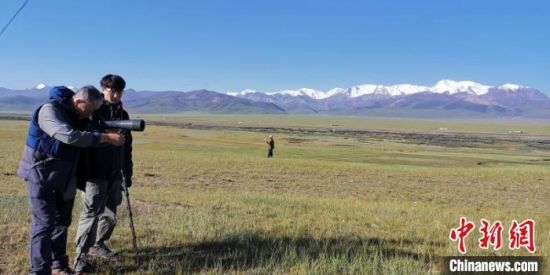 圖為工作人員正在進(jìn)行黑頸鶴衛(wèi)星跟蹤和環(huán)志工作?！∑钸B山國(guó)家公園青海省管理局供圖 攝