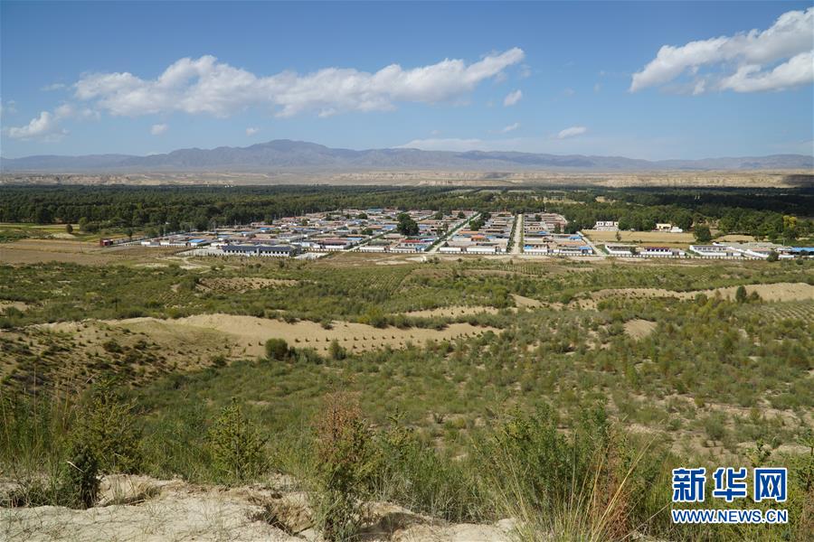 （決戰(zhàn)決勝脫貧攻堅(jiān)·圖文互動(dòng)）（2）高原鄉(xiāng)鎮(zhèn)沙珠玉 治沙斗貧成“綠?！薄嗪Ｊ」埠涂h沙珠玉鄉(xiāng)采訪(fǎng)見(jiàn)聞