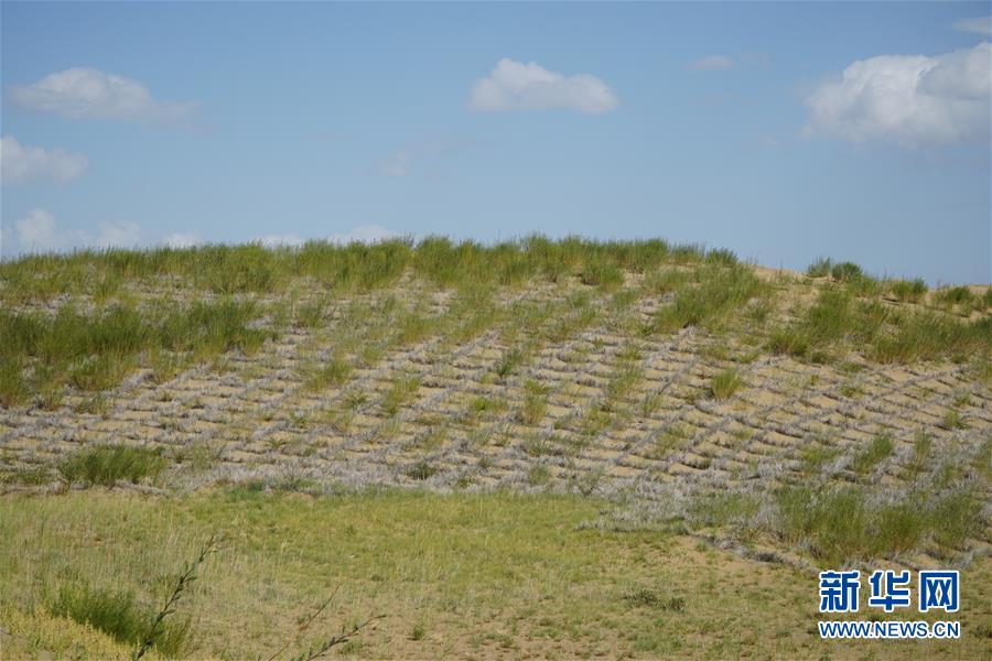 （決戰(zhàn)決勝脫貧攻堅(jiān)·圖文互動(dòng)）（3）高原鄉(xiāng)鎮(zhèn)沙珠玉 治沙斗貧成“綠?！薄嗪Ｊ」埠涂h沙珠玉鄉(xiāng)采訪(fǎng)見(jiàn)聞