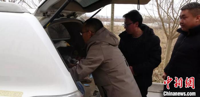 圖為民警救助國家二級保護動物——大天鵝。青海省公安廳森林警察總隊供圖