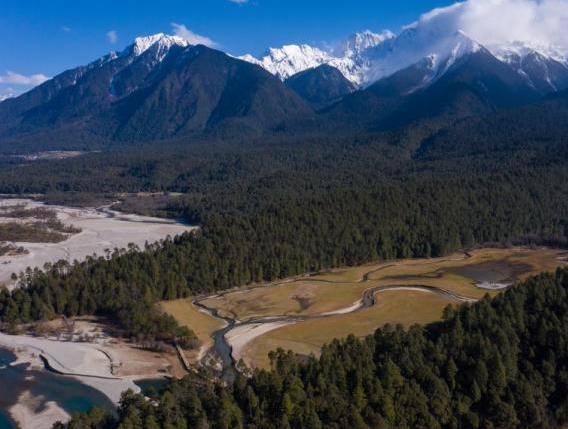 資料圖：西藏崗云杉林與遠(yuǎn)處的雪峰。 何蓬磊 攝