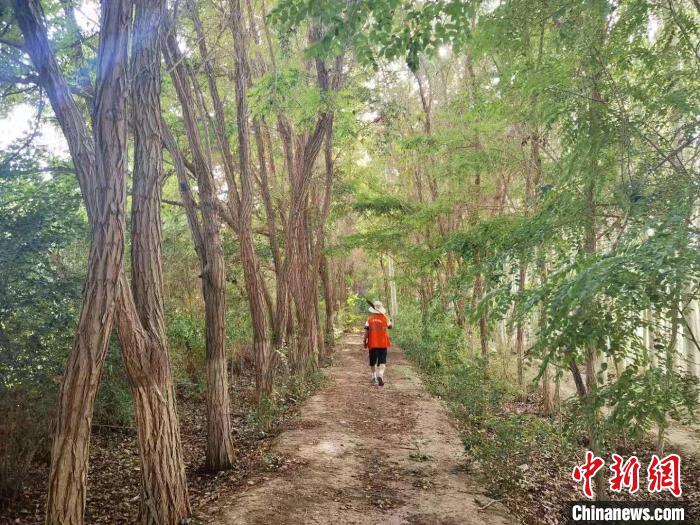 戈壁灘上的護(hù)林員：以前風(fēng)吹睜不開(kāi)眼，現(xiàn)在滿眼皆綠色