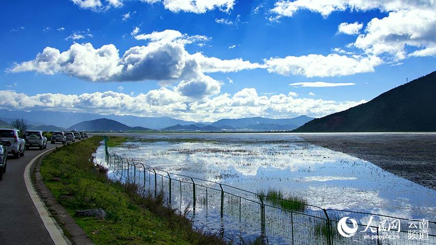 納帕海濕地。呂昊辰攝
