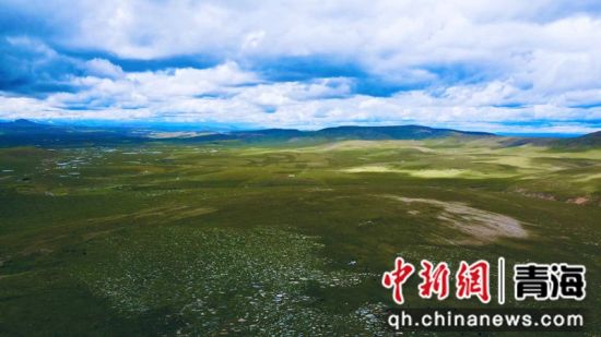 圖為長(zhǎng)江南源沼澤濕地。李江寧攝