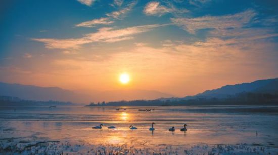 黃河冬之晨。