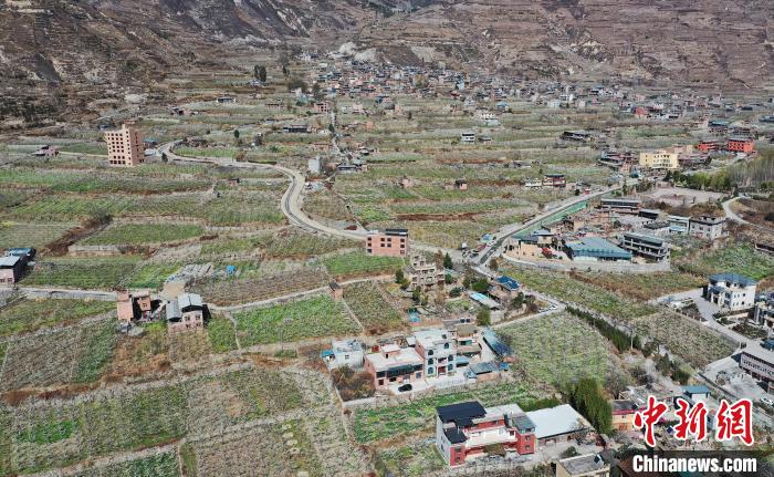 潔白的李花與村寨交相輝映，勾勒出一幅美麗的和諧生態(tài)畫卷?！『吻搴?攝