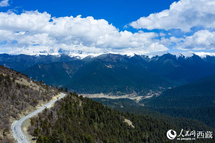 圖為在海拔4700多米的色季拉山，觀測(cè)從森林到草甸的多種植被類型。