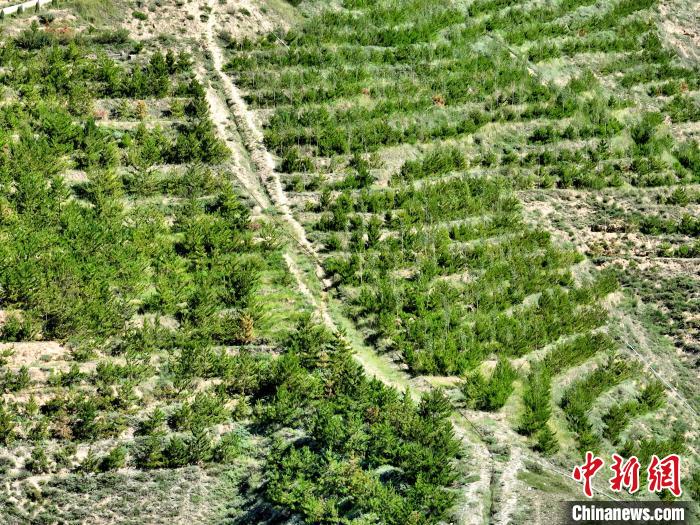 航拍建行青海省分行綠化區(qū)?！∑钤鲚?攝