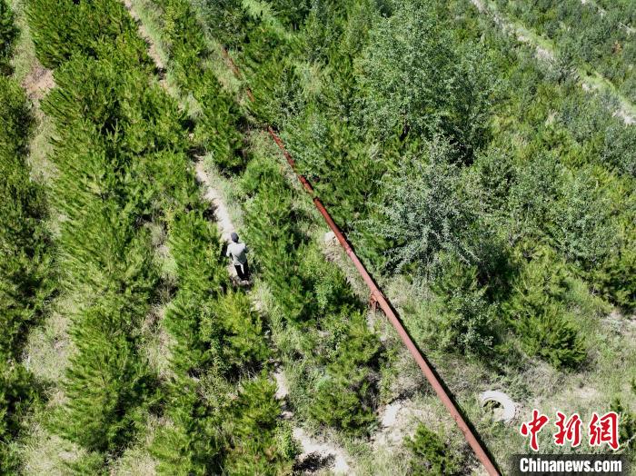 航拍建行青海省分行綠化區(qū)施工隊隊長盧占祥正在巡護(hù)綠化區(qū)?！∑钤鲚?攝