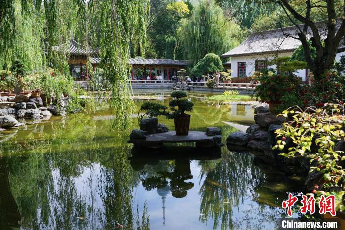 圖為西寧園林植物園秋日風(fēng)景別有韻味?！●R銘言 攝