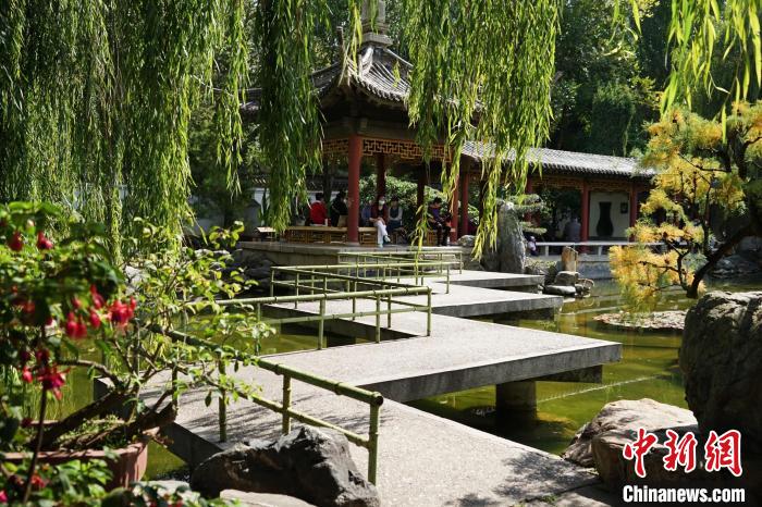圖為西寧園林植物園秋日風(fēng)景別有韻味?！●R銘言 攝