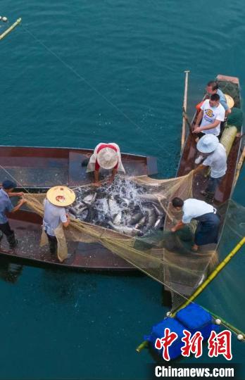 捕魚(yú)現(xiàn)場(chǎng)?！≈鬓k方供圖