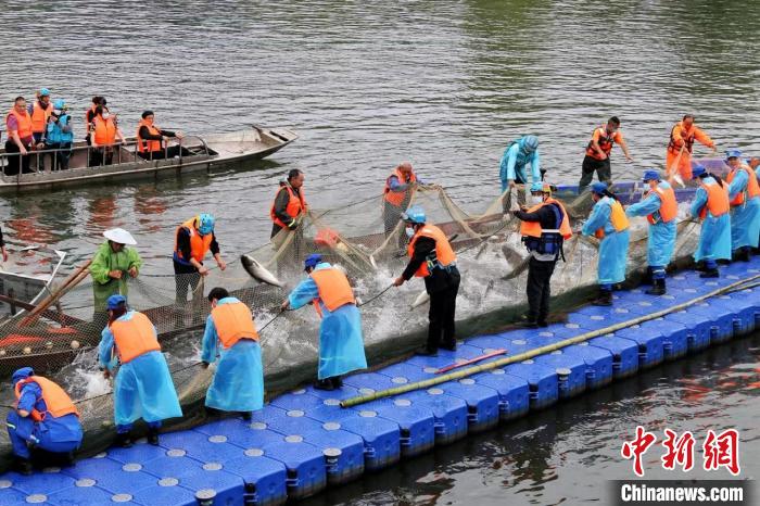 捕撈現(xiàn)場(chǎng)?！≈鬓k方供圖