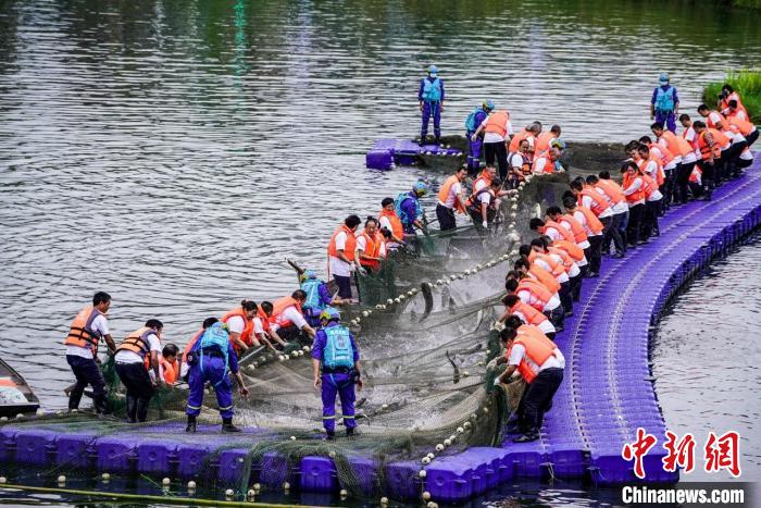 捕撈現(xiàn)場(chǎng)?！≈鬓k方供圖