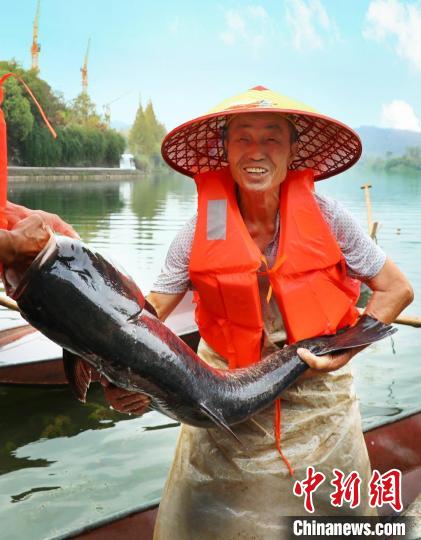 工作人員展示捕撈成果?！≈鬓k方供圖