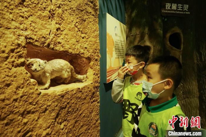 圖為小朋友在青海西寧湟水國(guó)家濕地公園科普館內(nèi)參觀學(xué)習(xí)?！●R銘言 攝