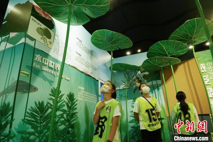 圖為小朋友在青海西寧湟水國(guó)家濕地公園科普館內(nèi)參觀學(xué)習(xí)。　馬銘言 攝