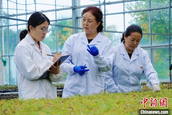 圖為張錦梅(中)與同事在討論數(shù)據(jù)。馬銘言 攝