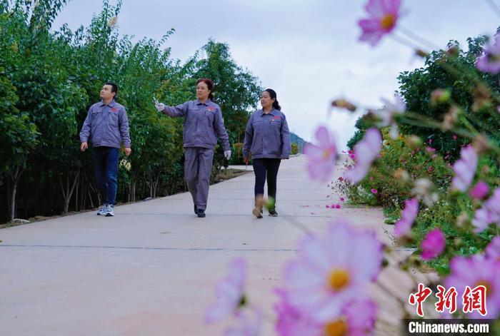 圖為張錦梅(中)與同事在西寧北山查看丁香樹?！●R銘言 攝