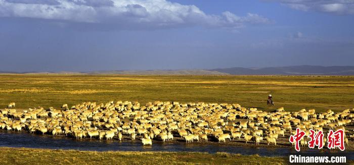 青?，敹唷鞍渍渲椤弊尠傩斟X袋鼓起來(lái)