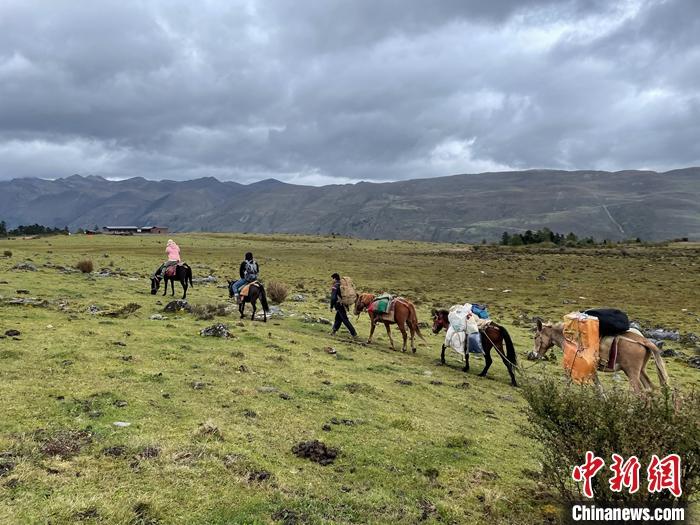 圖為9月26日游客騎馬領(lǐng)略尼汝村高原牧場風(fēng)光。 <a target='_blank' href='/'><p  align=